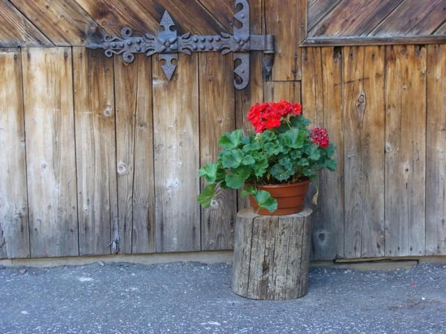 Holiday Home Patchwork Barn Zakopane Oda fotoğraf