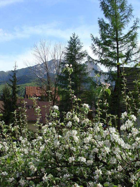Holiday Home Patchwork Barn Zakopane Dış mekan fotoğraf